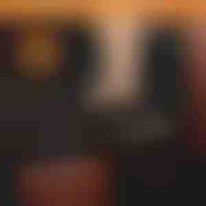 Vandtæt hundetæppe til bagsædet | CARIPET