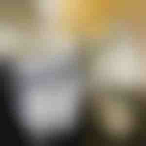 Sammenklappelig køkkenspand | FLEXBIN