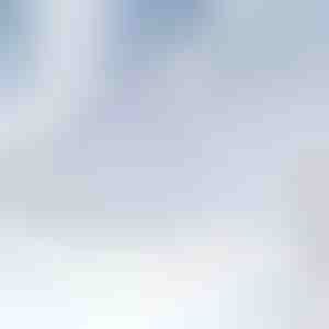 Magnetisk forrudeafdækning mod sne | FROSTCOVER