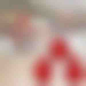 Jule-mini-tærteform (3 stk) | JOYPIE