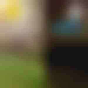 Solare tropiske havelys | LUMIPALM