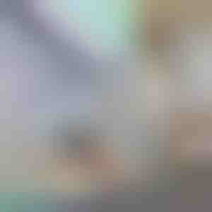 Dekorativ vindues- og privatlivsfilm | PRISMWRAP