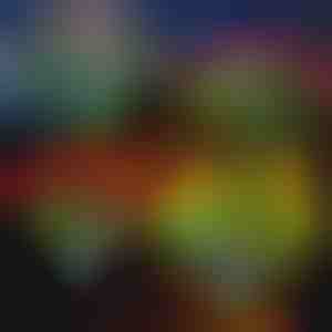 Solblomsterlamper | ROSILUME