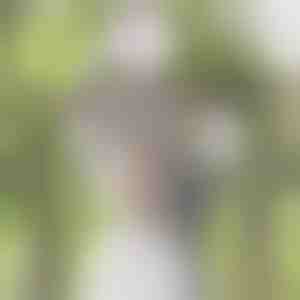 Glycinblomster-ranke simulation | WISBLOOM