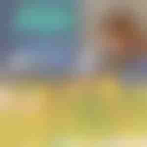 Puslespils-togbane | ZOOMSTER