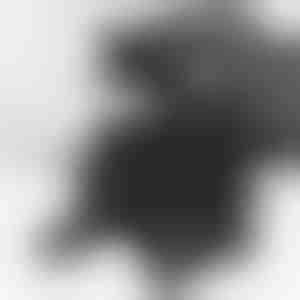 Effortløs fjederben-adskiller | STRUTRA