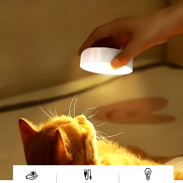 LUMISIGN